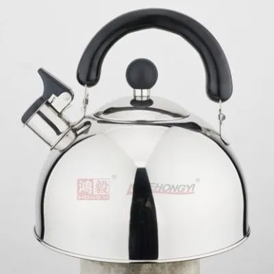 Nizza Stainless Steel Kettle